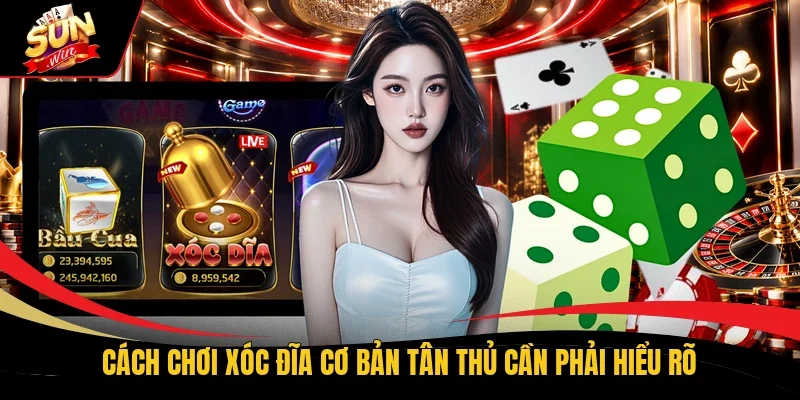 Cách chơi Xóc Đĩa cơ bản tân thủ cần phải hiểu rõ