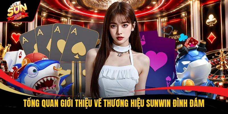 Tổng quan giới thiệu về thương hiệu Sunwin đình đám